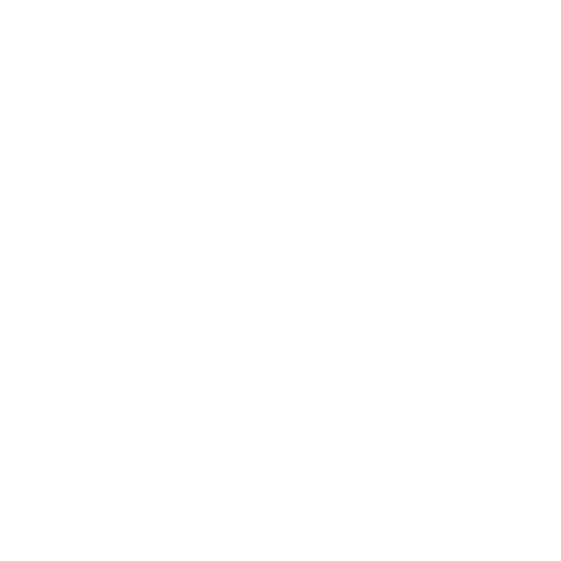 Roof Inspections Icon